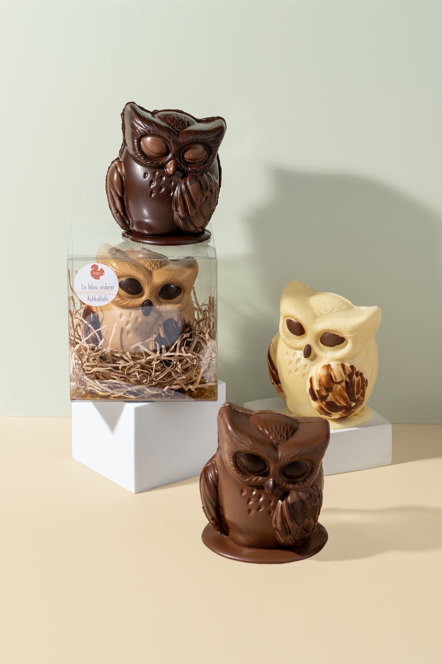 Hibou endormi