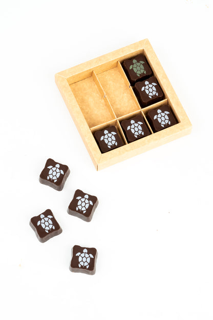 Petites tortues: caramel et pacanes