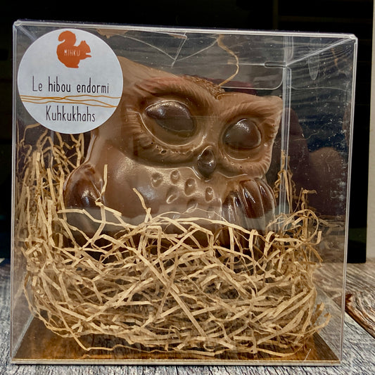Hibou endormi